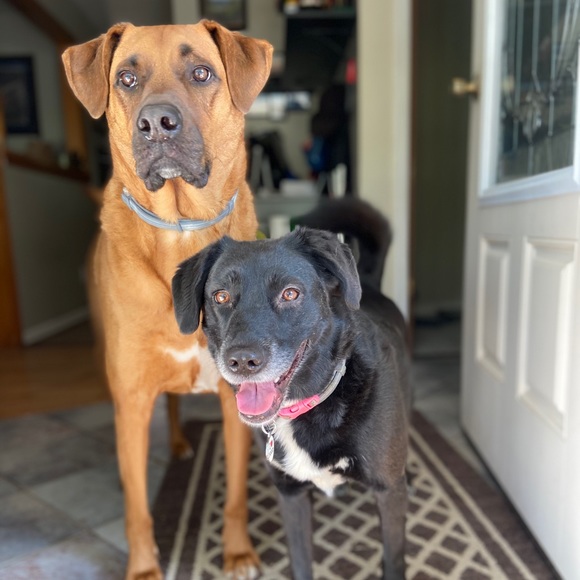 Meet your posher, Kim - Picture 6 of 12